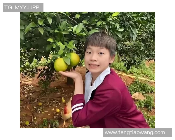 全红婵直播收入悉数捐出